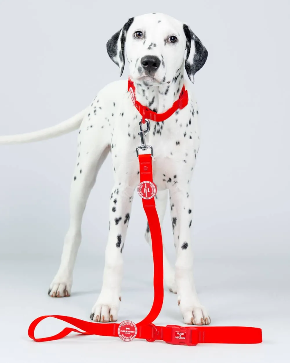 Matching Red Waterproof Bundle - Collar, Lead and Poop Bag Holder