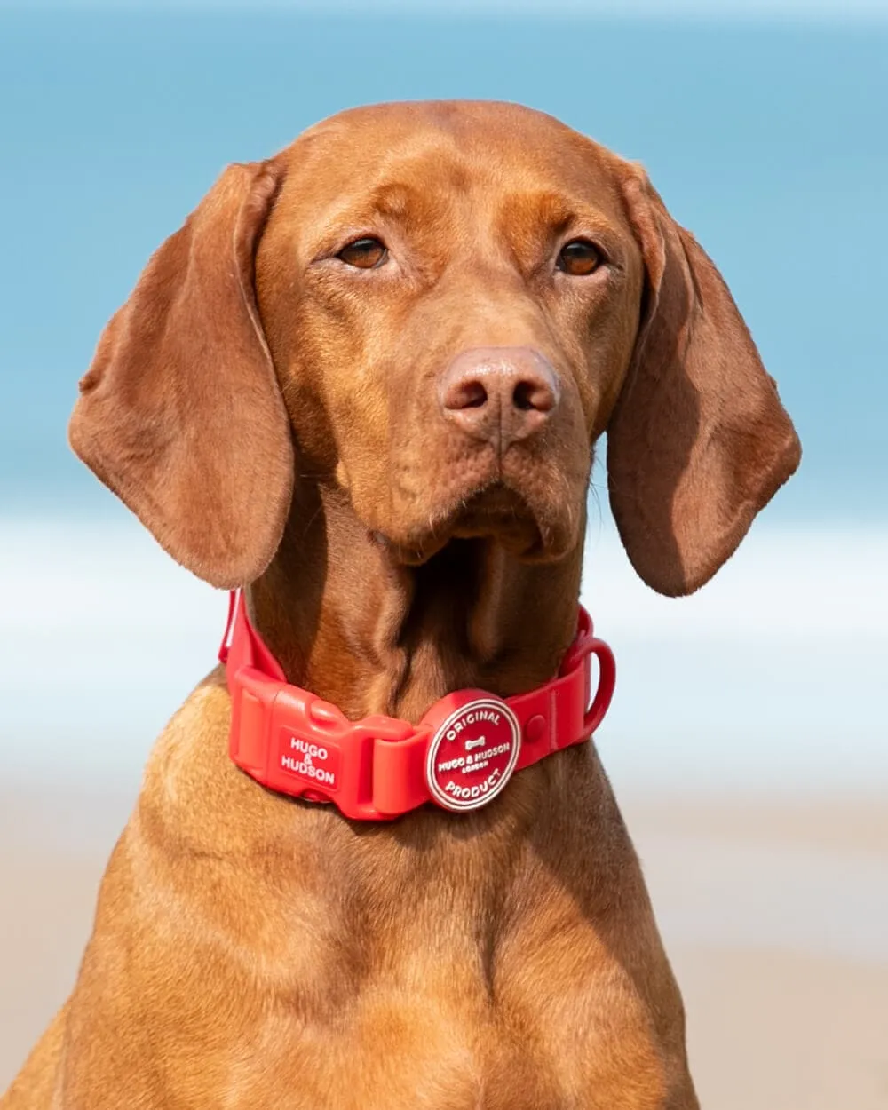 Matching Red Waterproof Bundle - Collar, Lead and Poop Bag Holder