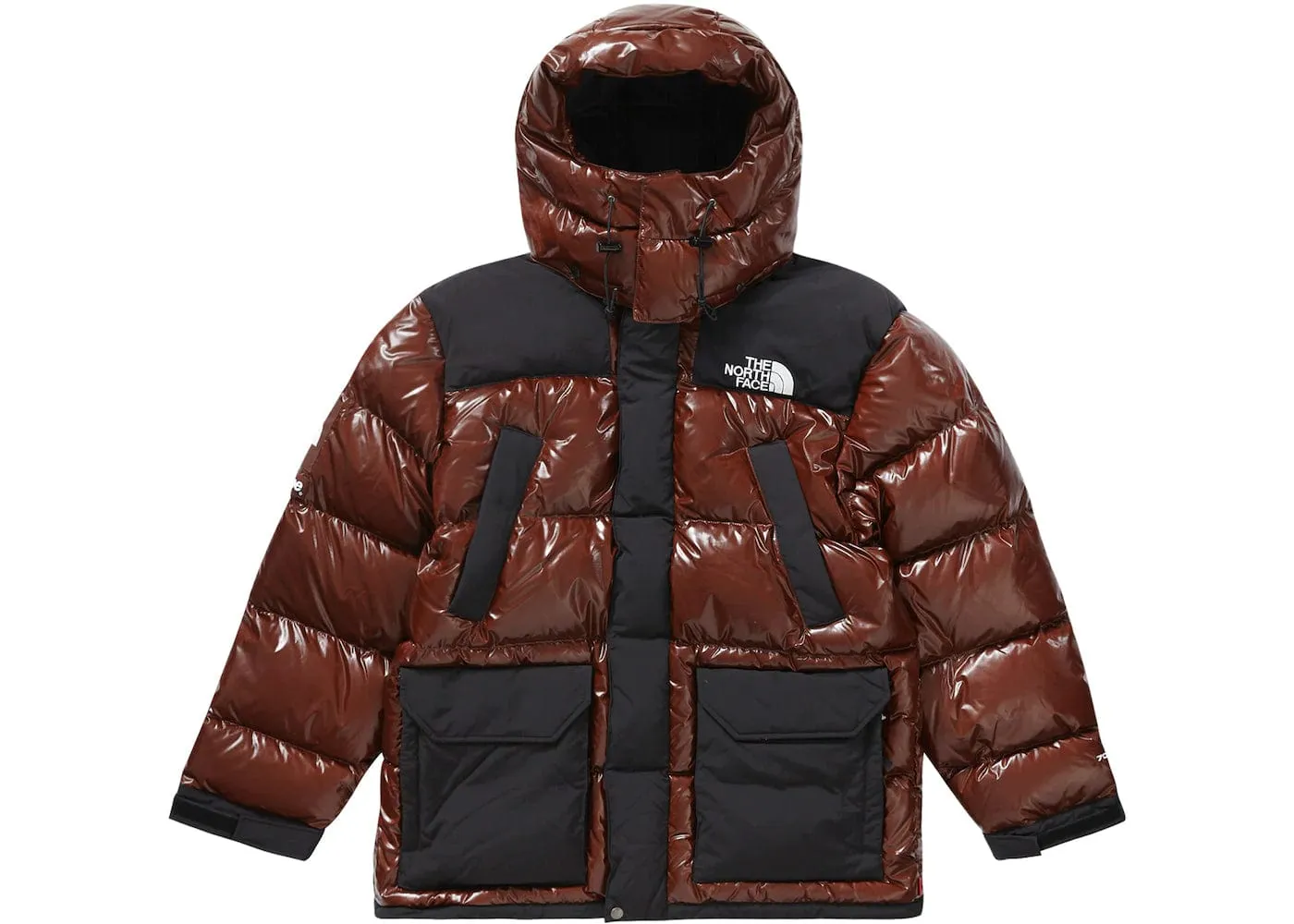 Supreme The North Face 700-Fill Down Parka Brown